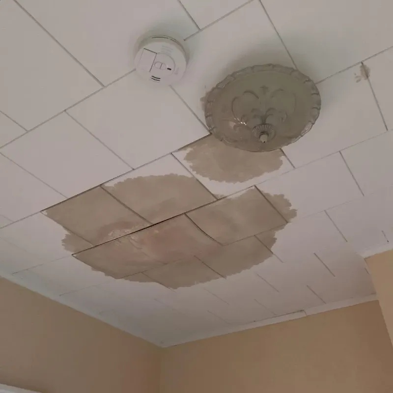 Ceiling Water Damage Repair in Kings Bay Base, GA