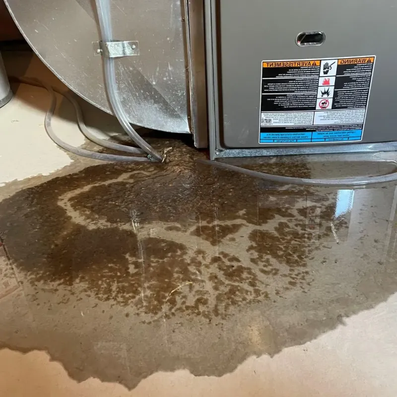 Pipe Burst and Leak Restoration in Kings Bay Base, GA