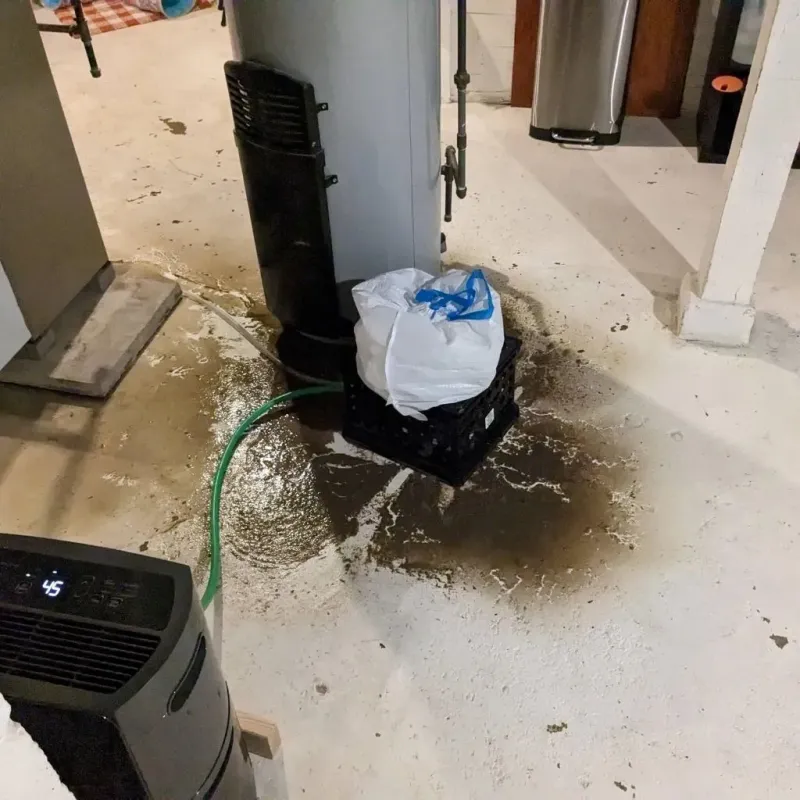 Sewage Backup Cleanup Service in Kings Bay Base, GA